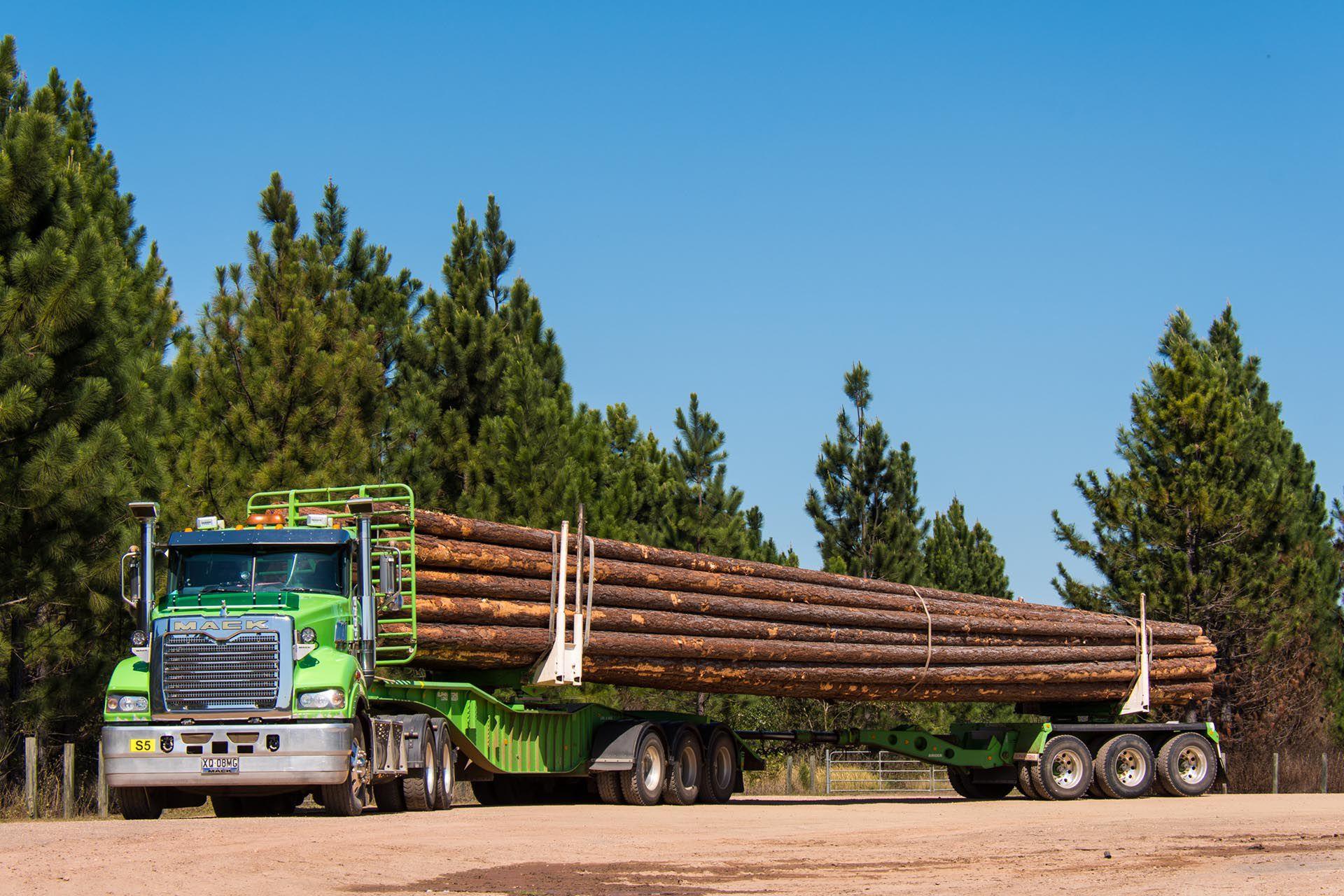 Logging Trucks